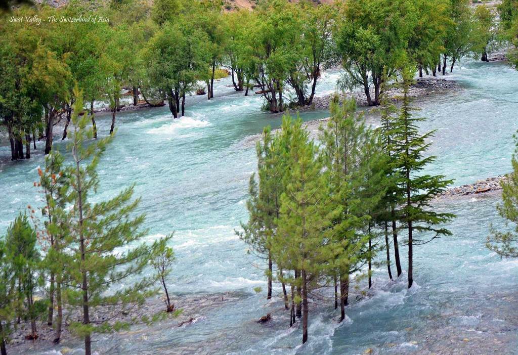 Population estimation, proximate analysis and physico-chemical analysis of brown trout and rainbow trout in Swat River, Khyber Pakhtunkhwa, Pakistan