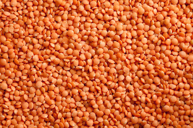 product_pulses_lentils_red_lentils_whole_large