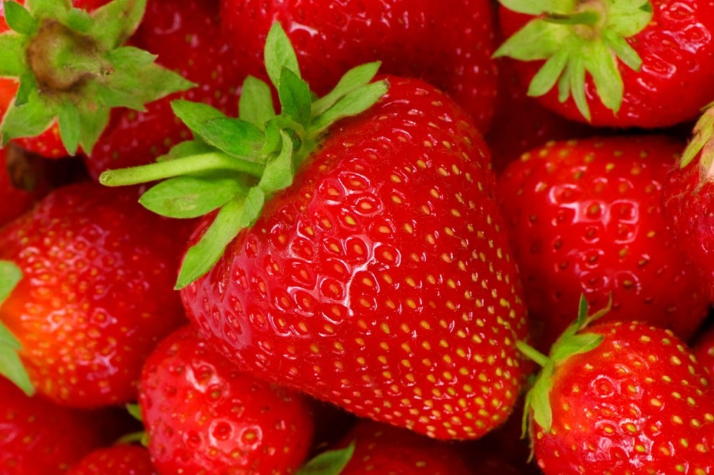 Effects of different hormones on in vitro regeneration of strawberry (Fragaria x ananassa Duch.)