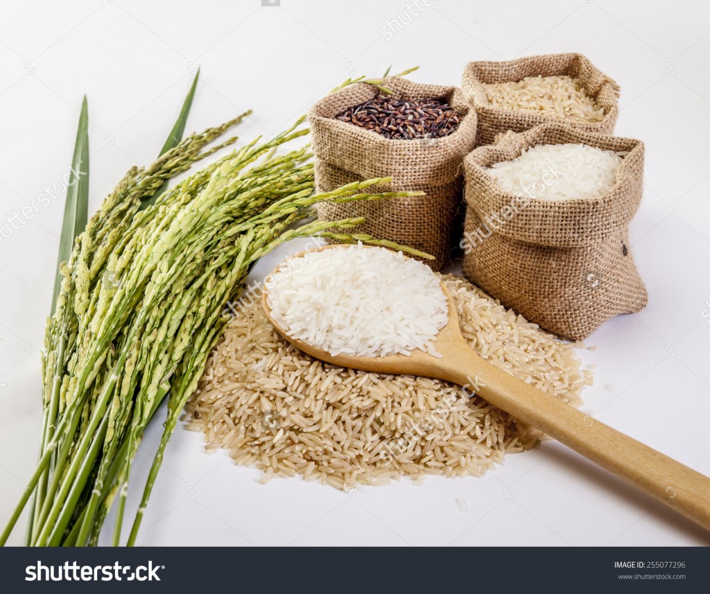 stock-photo-jasmine-rice-coarse-rice-brown-rice-255077296