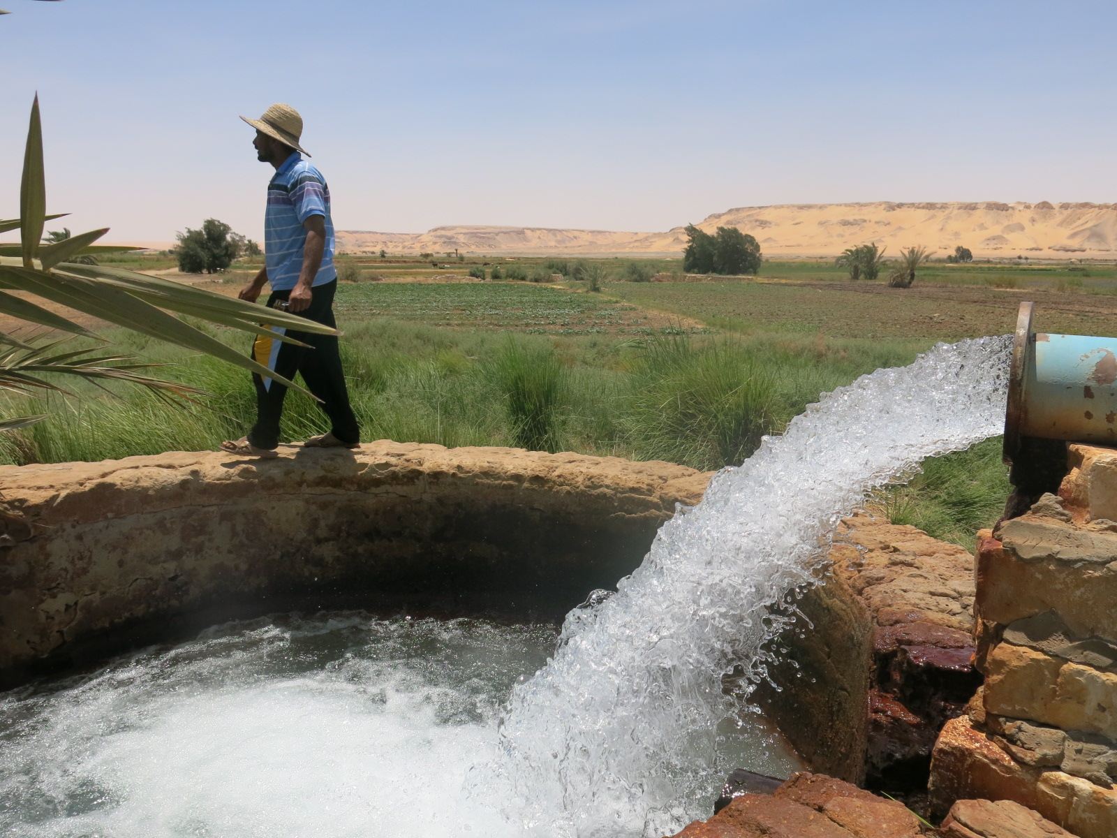 An investigation on water productivity in agriculture with evaluating Iran position – IJAAR