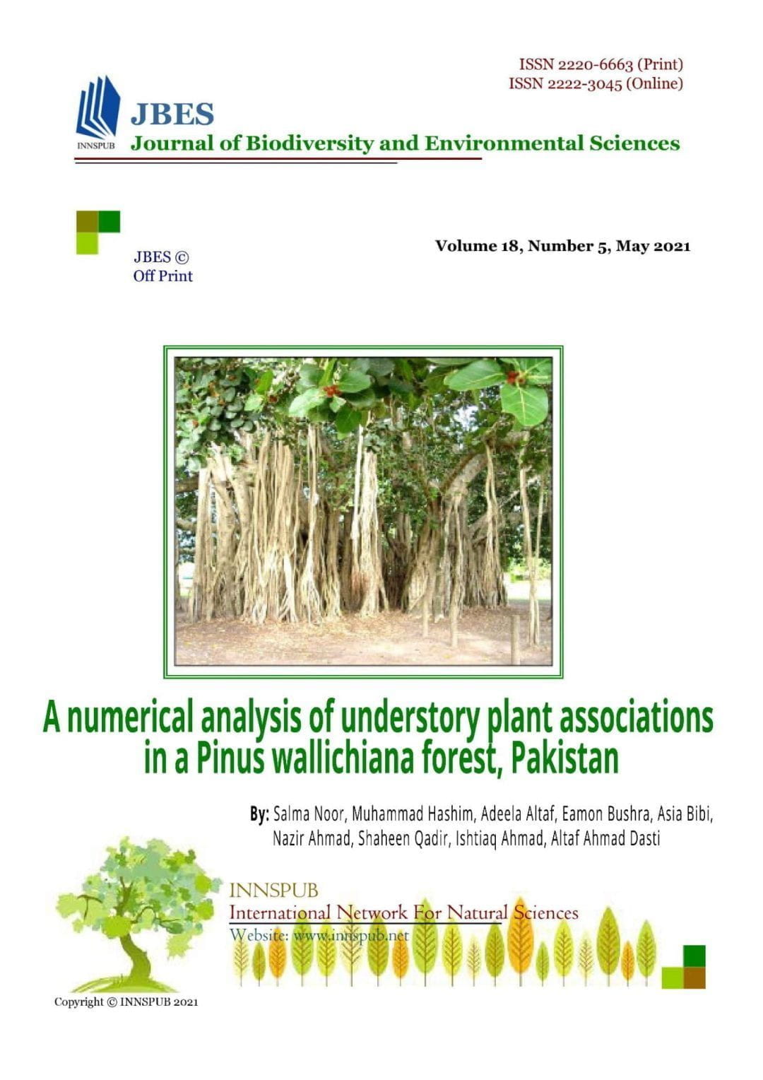 A numerical analysis of understory plant associations in a Pinus wallichiana forest, Pakistan